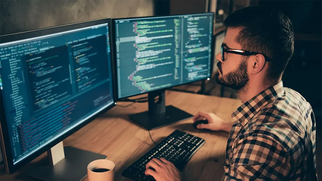 Появилась еще одна виза для айтишников